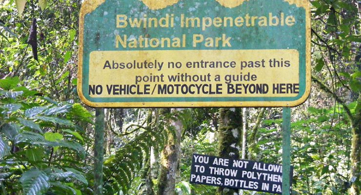 Bwindi Impenetrable National Park